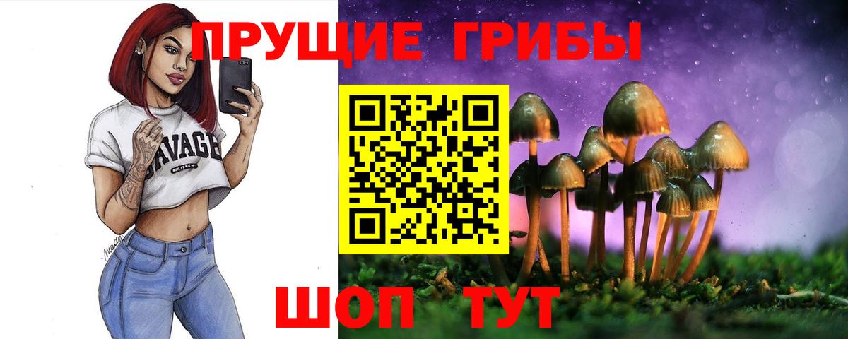 Галлюциногенные грибы мицелий  Галлюциногенные грибы GOLDEN TEACHER  Каменск-Уральский  Вход с VPN 